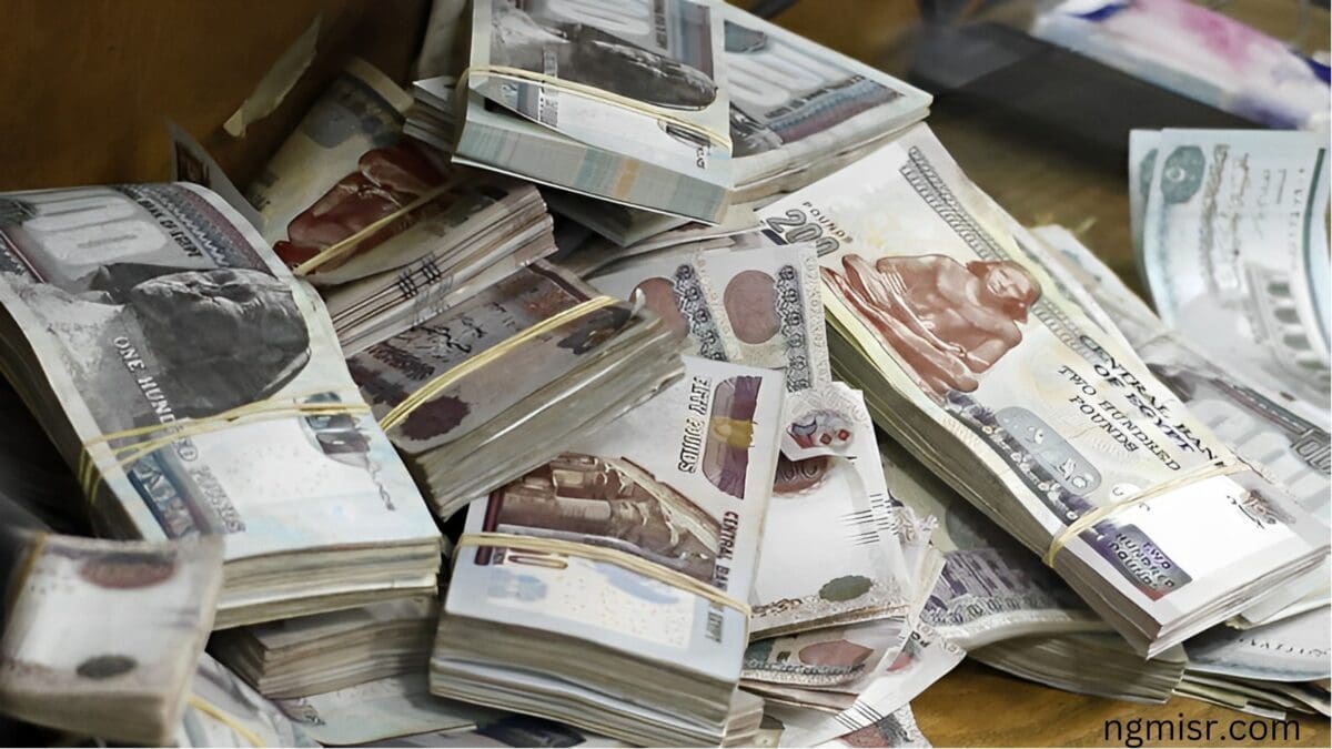 Egypt Introduces New Taxes To Tackle Economic Woes Amidst Currency