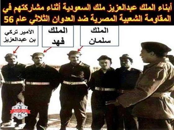 صور، الملك، سلمان بن عبد العزيز، المقاومة الشعبية، مصر، السعودية