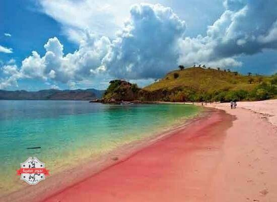 الشاطئ الوردي