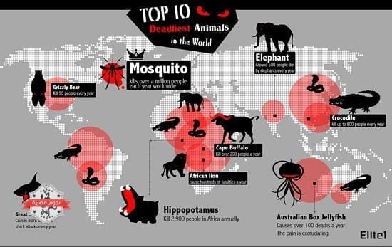 أخطر عشرة كائنات مميتة حول العالم