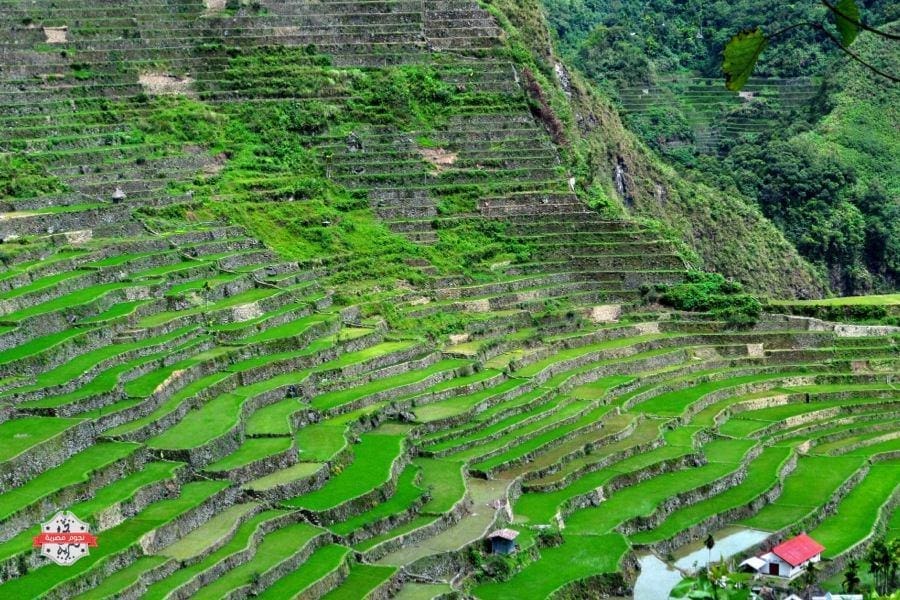 rice-terraces-giant-amphitheaters