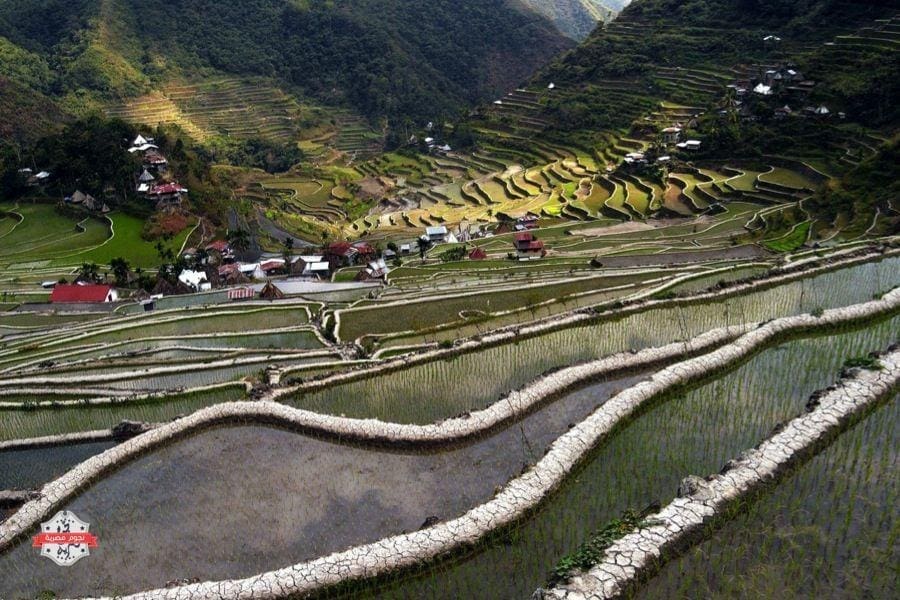 rice-terraces-mud-walls