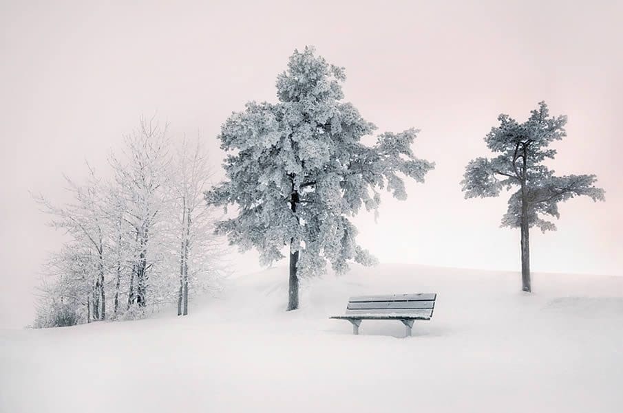 Winter Landscapes (11)