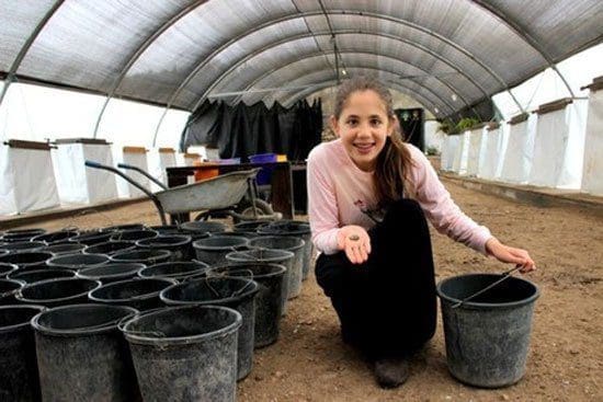 فتاة اسرائيلية تجد تميمة فرعونية وتسلمها إلى الآثار الإسرائيلية