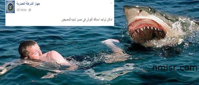 الشرطة المصرية تحذر المصيفين هذا العام باماكن تواجد اسماك القرش في الشواطىء