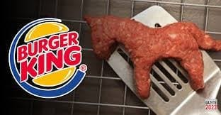 أستخدم الخيول في صناعة البرجر في سلسلة مطاعم برجر كينج " Burger King "