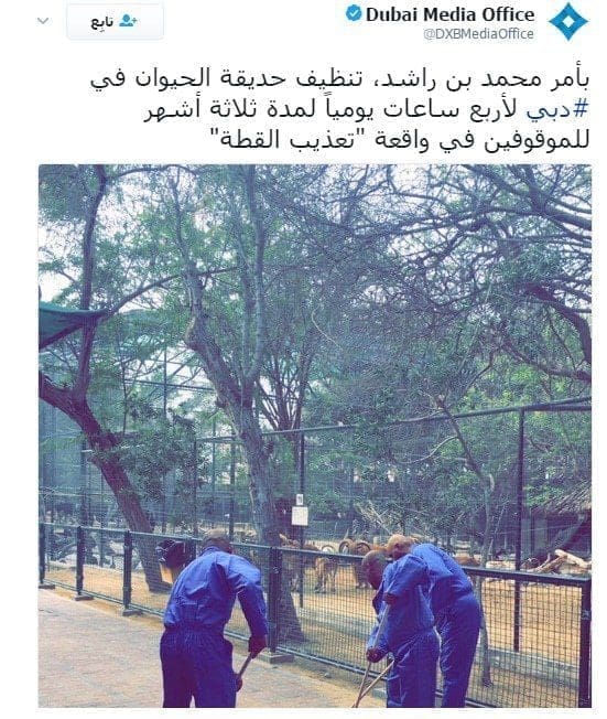 عقاب الشيخ محمد بن راشد آل مكتوم للمتورطين في تعذيب القطة بتنظيف حديقة الحيوان