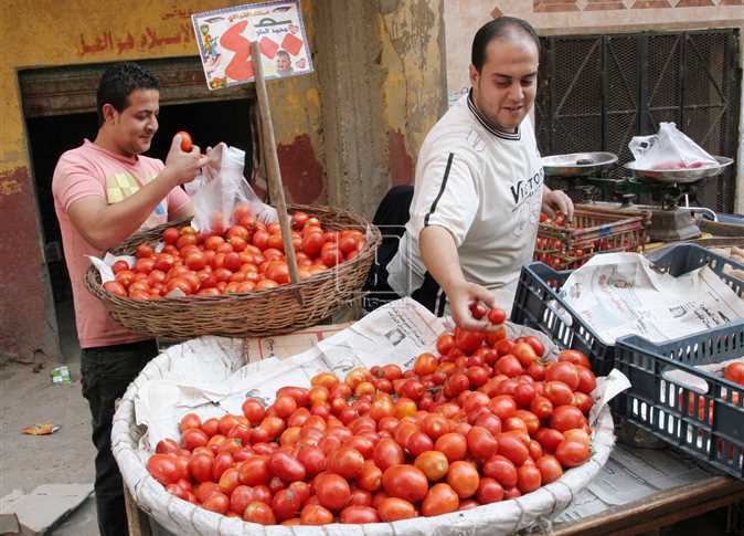 ارتفاع أسعار الطماطم 