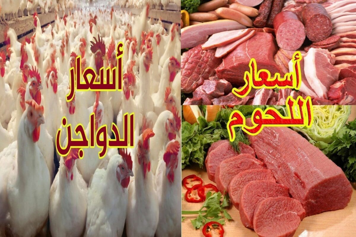 سعر اللحوم والدواجن اليوم