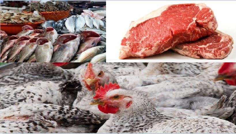 أسعار اللحوم والدواجن والسمك اليوم