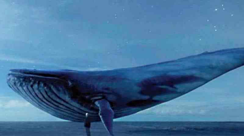 لعبة الحوت الأزرق