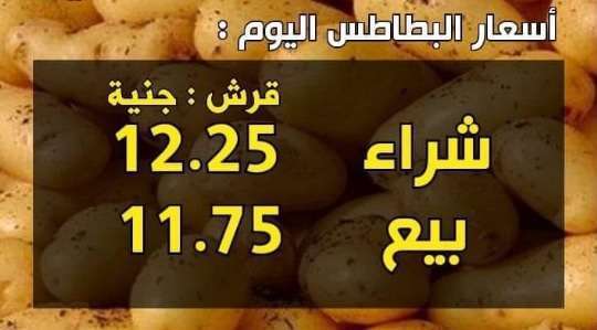 أسعار البطاطس