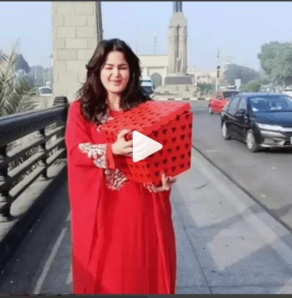 بالفيديو سما المصري توزع هدايا " البطاطس" المواطنين بمناسبة الفلانتين