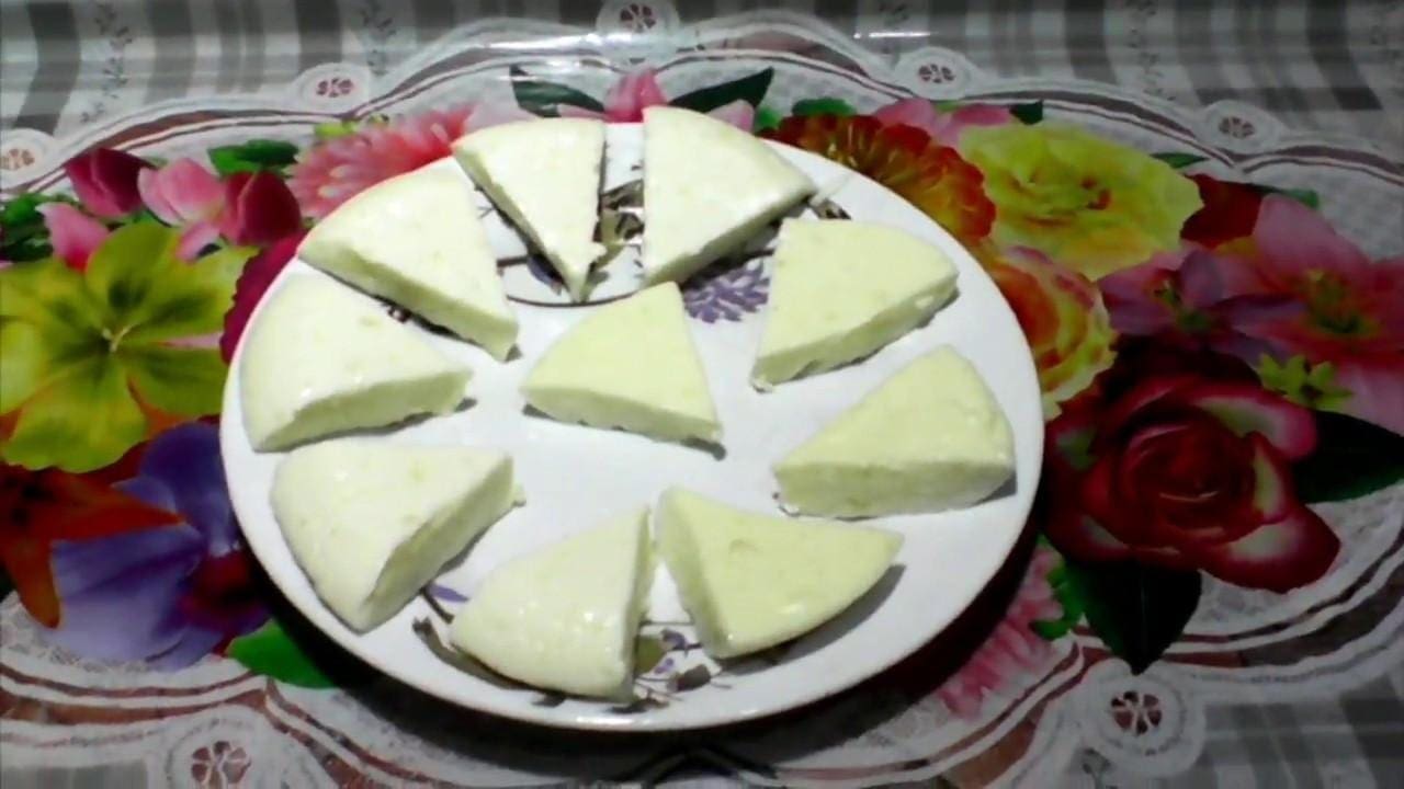  الجبنة النستو