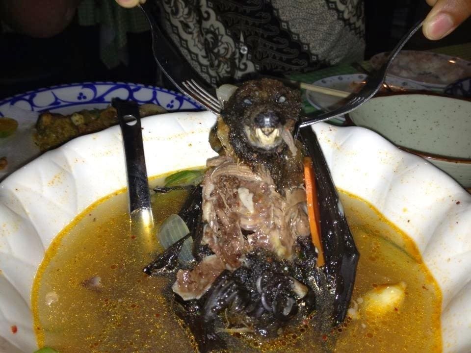 الخفاش -أغرب أصناف الطعام من مختلف أنحاء العالم