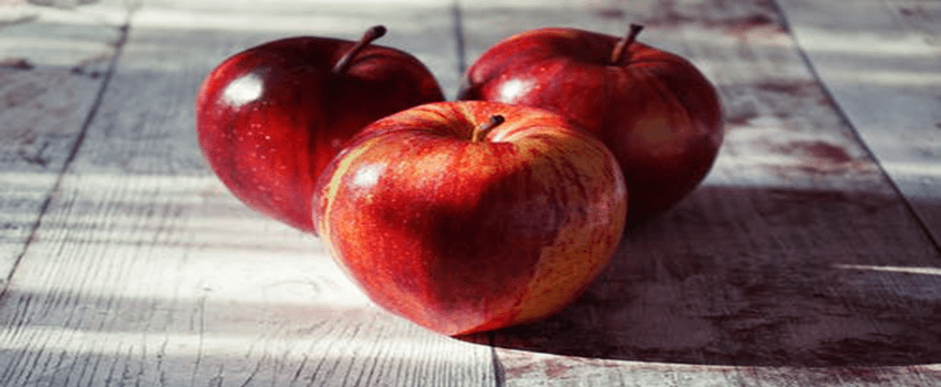 زراعة بذور التفاح في المنزل