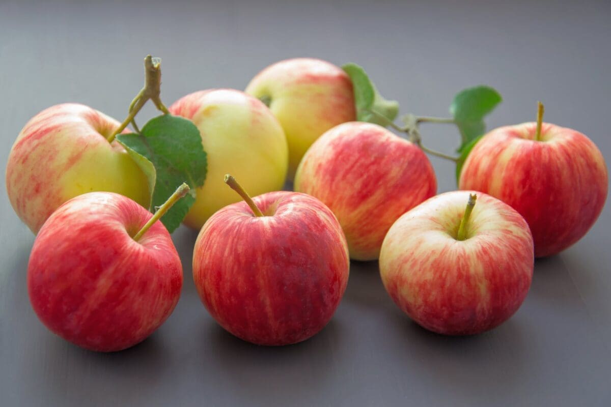 زراعة التفاح في البيت