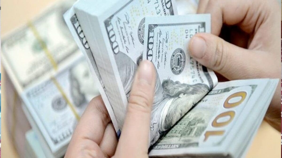 ارتفاع أسعار الدولار أمام الجنيه المصري