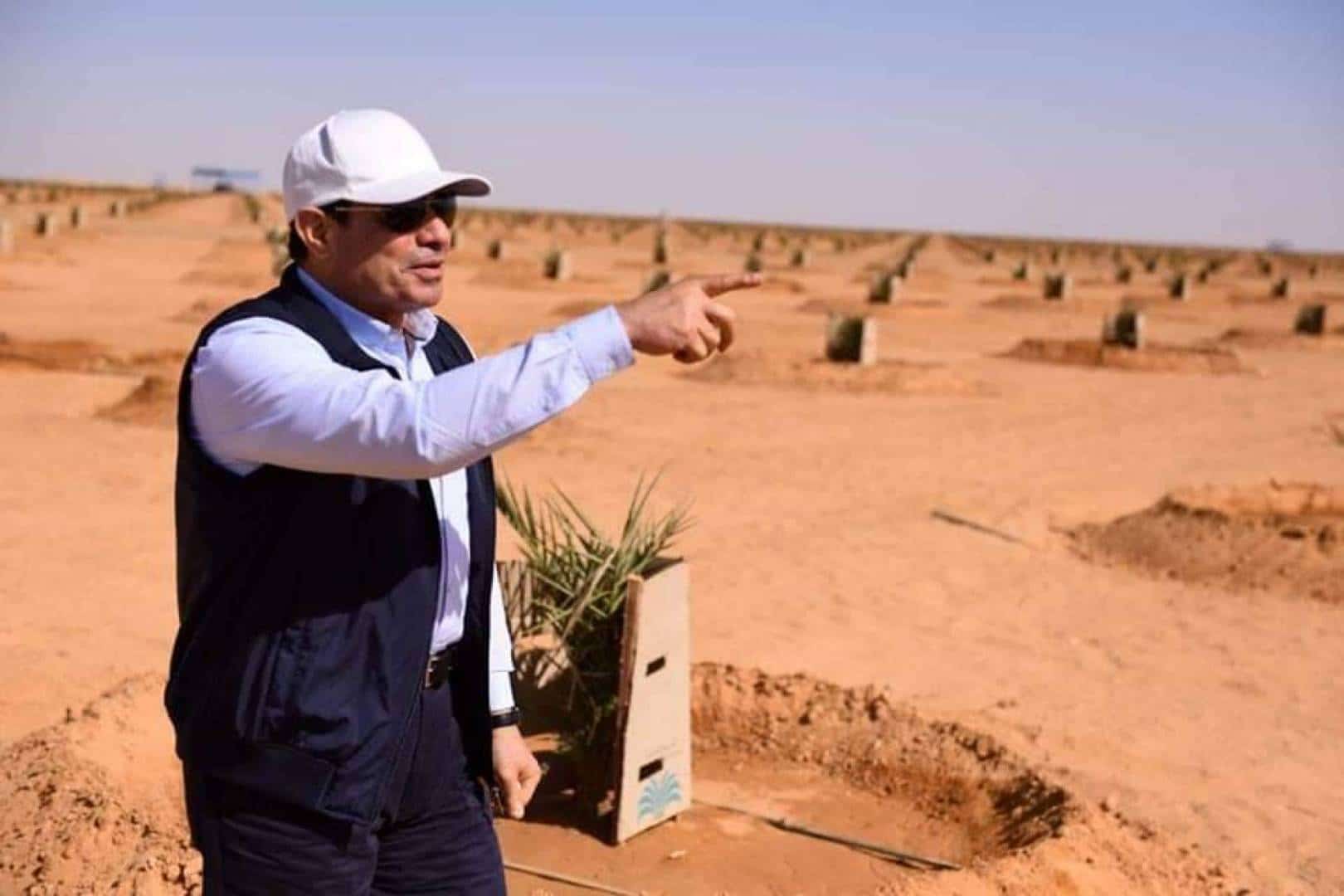 الرئيس السيسي يخصص قطع أراض في منخفض توشكى