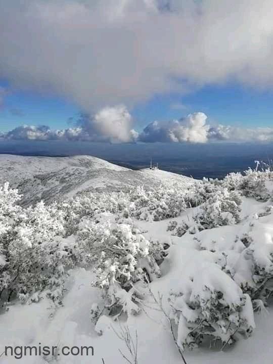 الثلوج في الجزائر صور الثلوج في معظم ولايات الجزائر