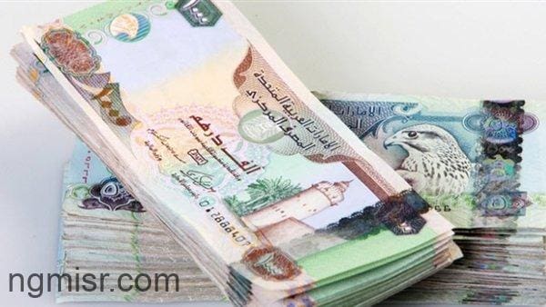 سعر الدرهم الإماراتي في مصر