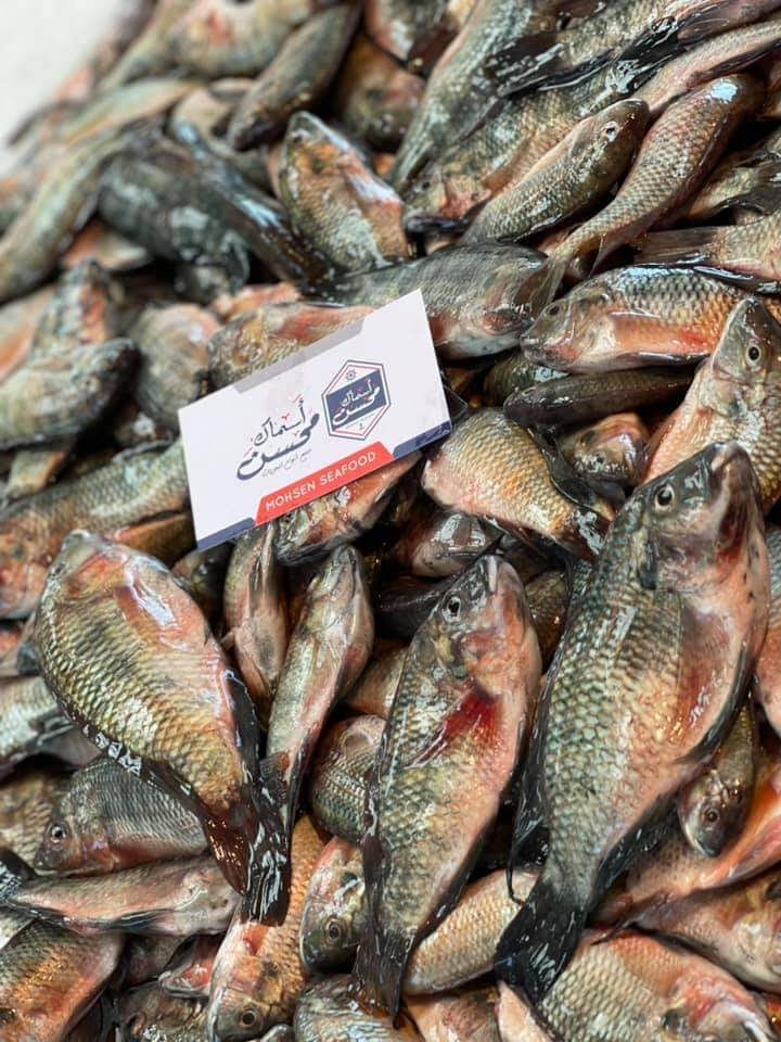 أسعار أسماك بورسعيد
