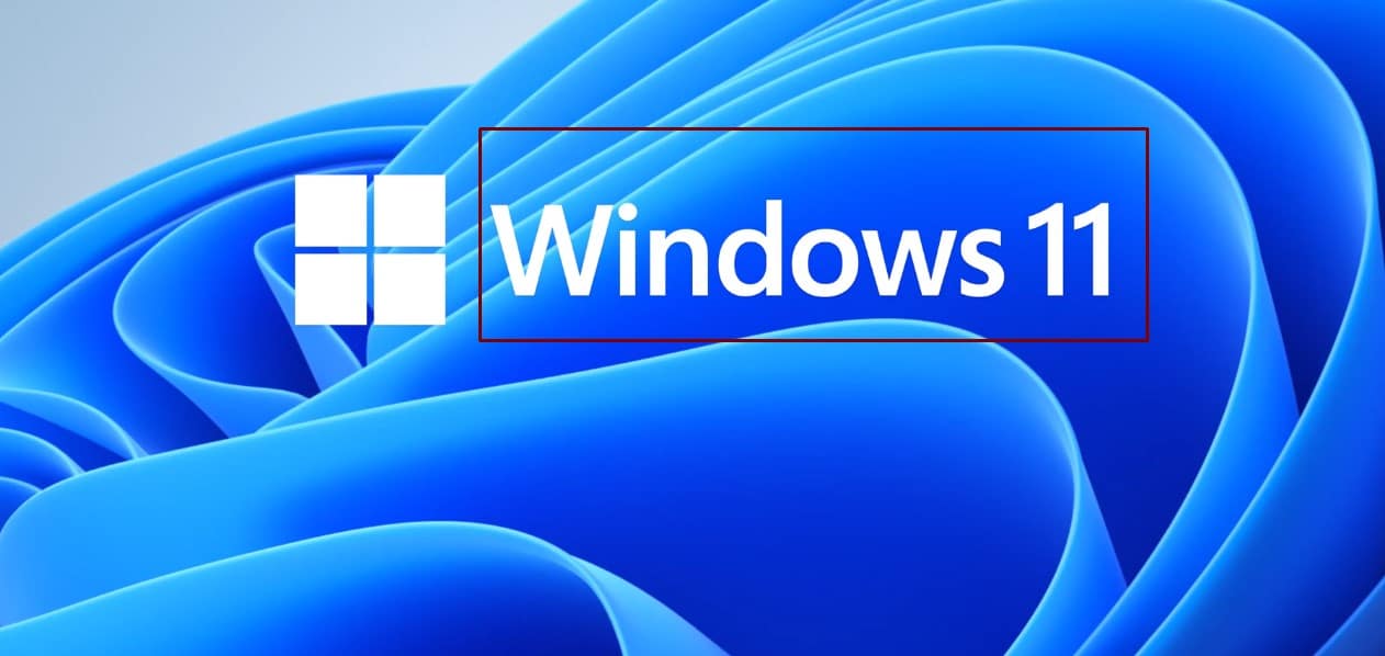 مايكروسوفت رسمياً|| الترقية إلى ويندوز 11 مجانًا نظام التشغيل الإصدار الجديد windows 11