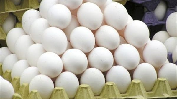 سعر كرتونة البيض اليوم الأحد 3 أكتوبر