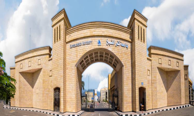 جامعة كفر الشيخ تنظيم يوم ريادة الأعمال