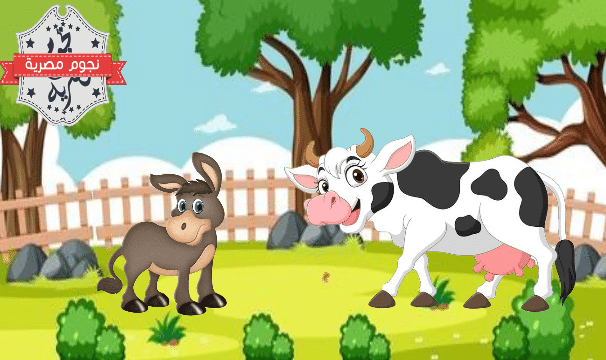 قصص قصيرة للاطفال| الحمار والبقرة