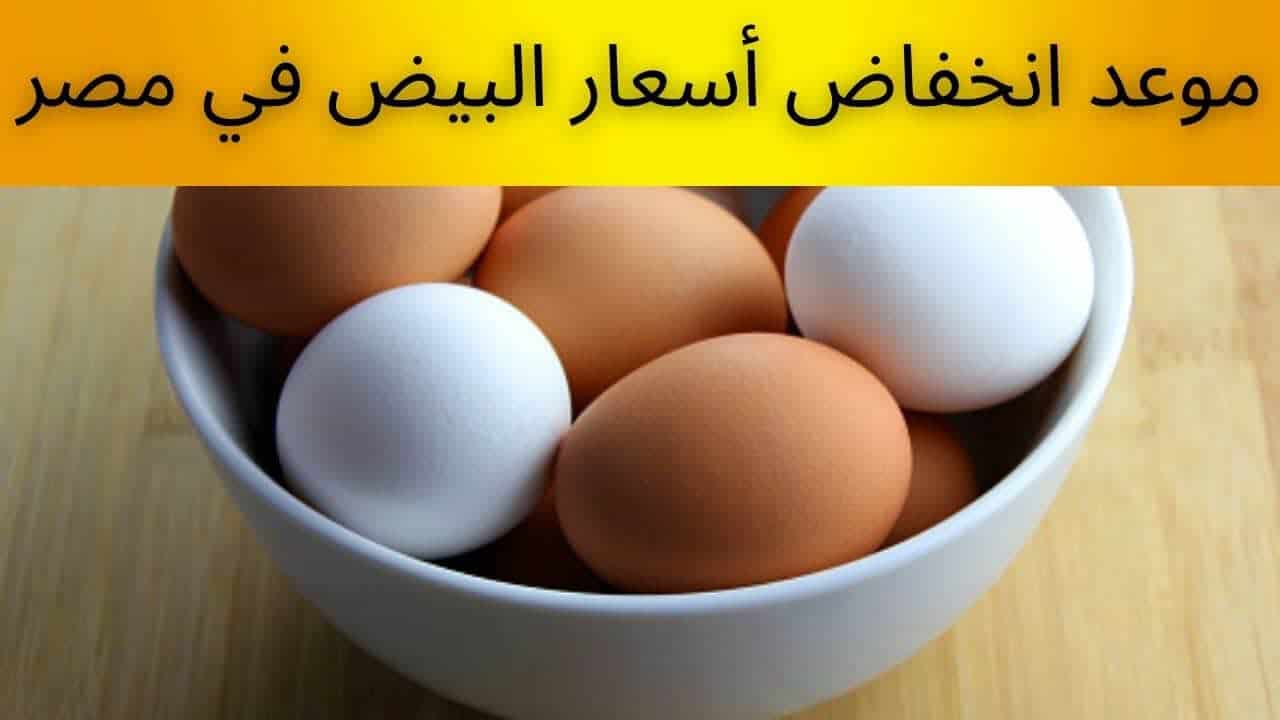 متى ينخفض سعر البيض بالأسواق المصرية