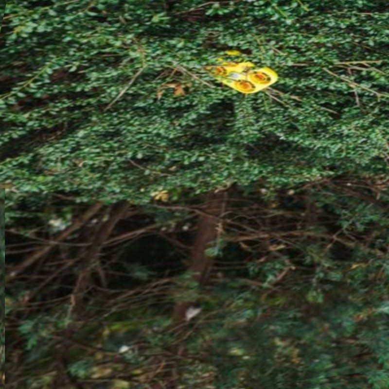 كاميرا تطير فوق الاشجار والاغصان تعوقها