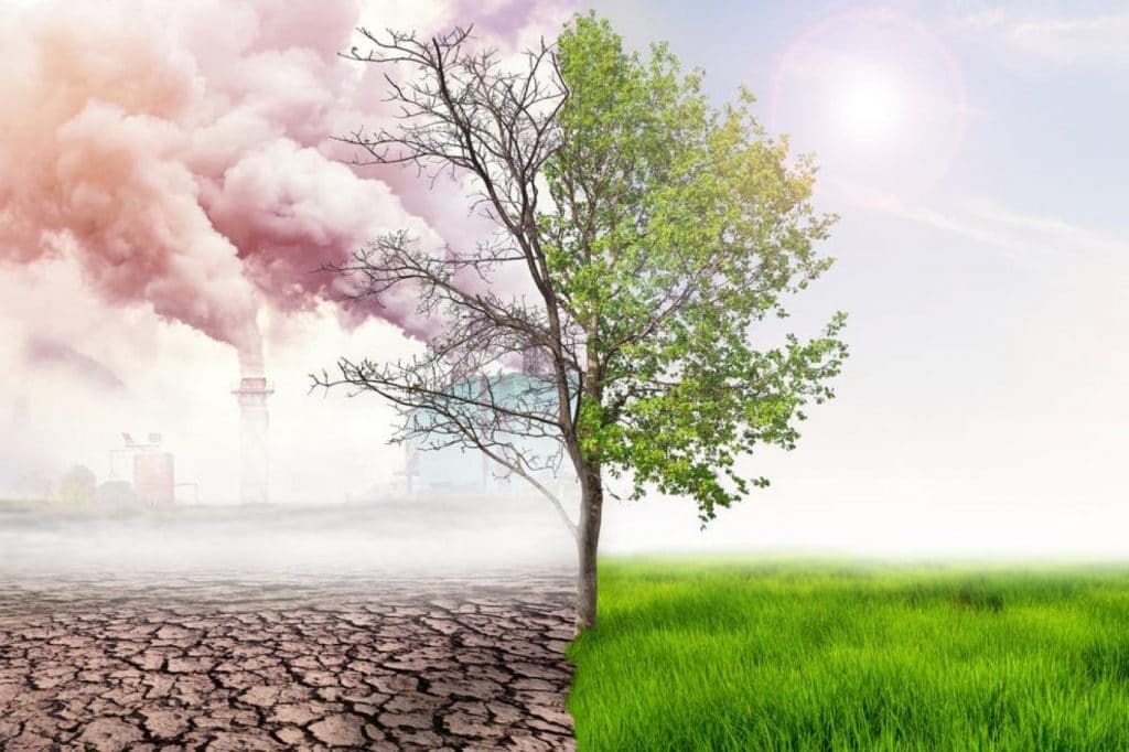خبير بيئي يطالب "COP 27" بحسم مناورات الدول الكبرى لصالح ضحايا تغير المناخ