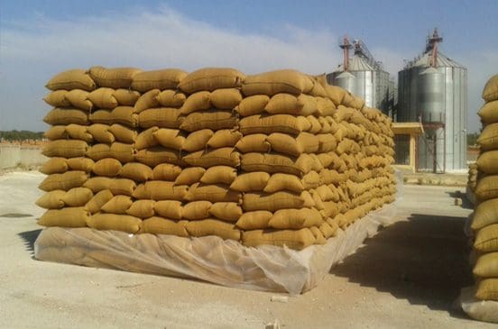 زيادة كميات التوريد من محصول القمح في مختلف المحافظات
