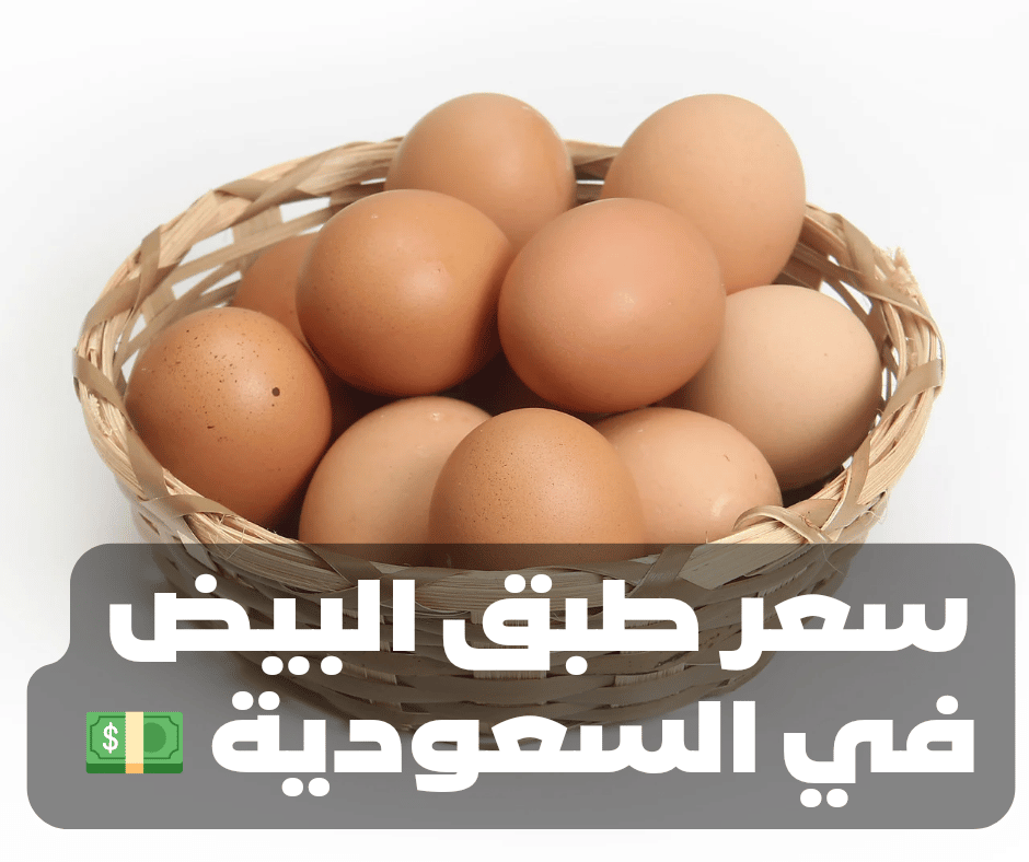 سعر طبق البيض في السعودية