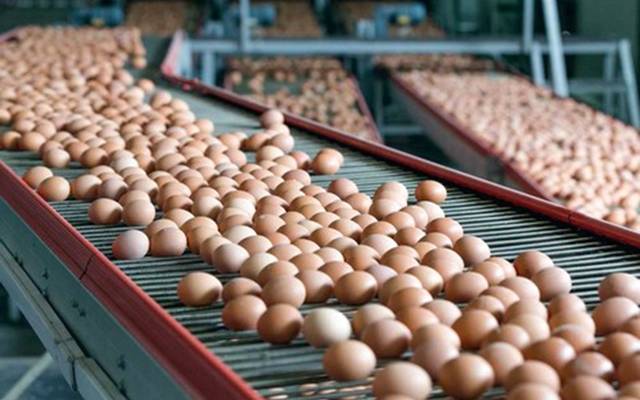 ارتفاع أسعار البيض بصورة كبيرة وراء حملات المقاطعة