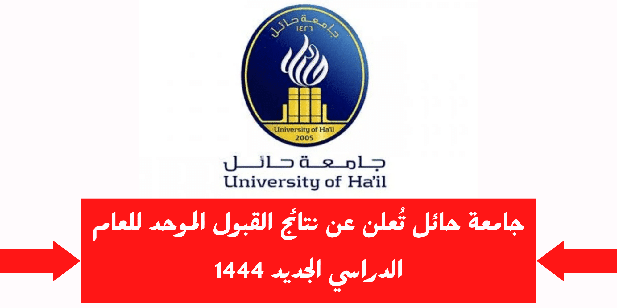 جامعة حائل