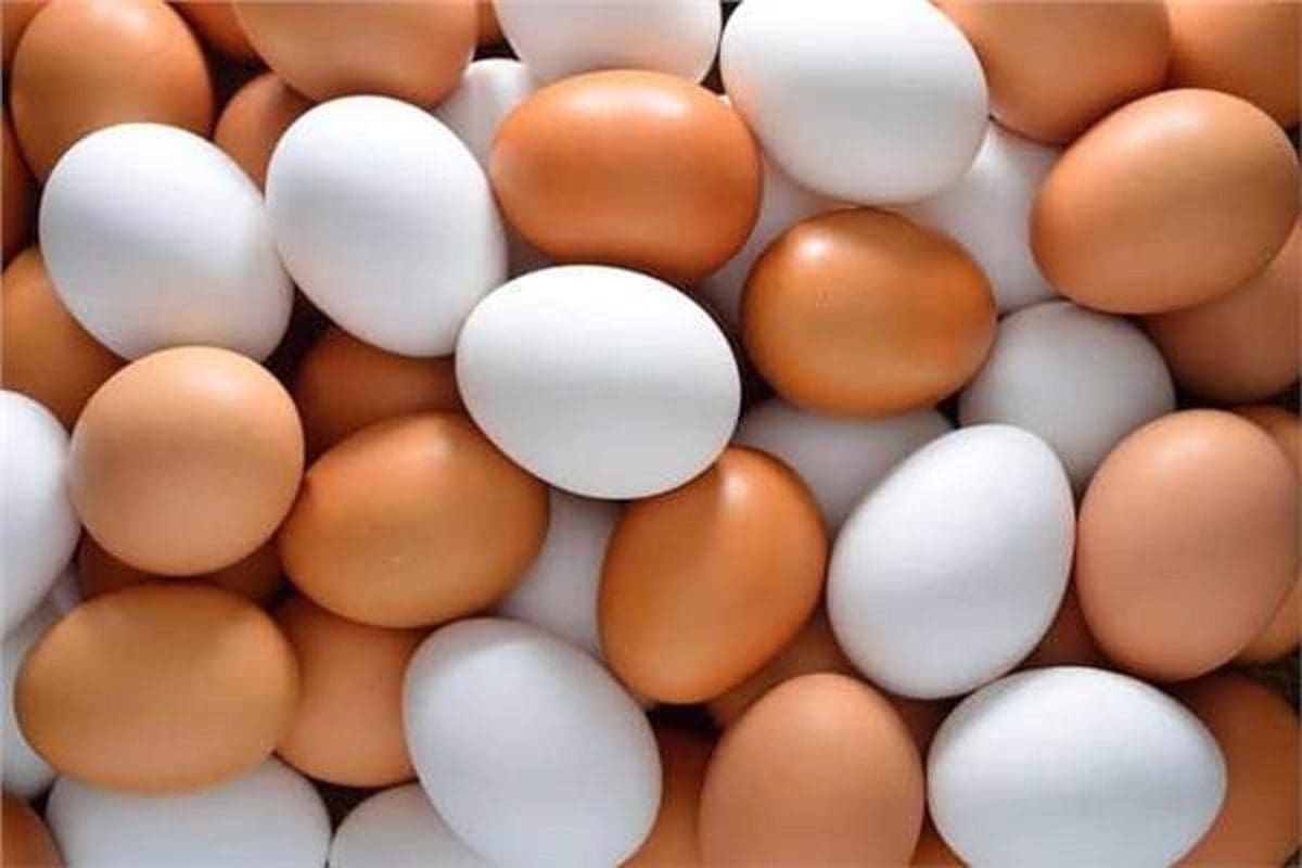 سعر كرتونة البيض اليوم للمستهلك في الأسواق المحلية