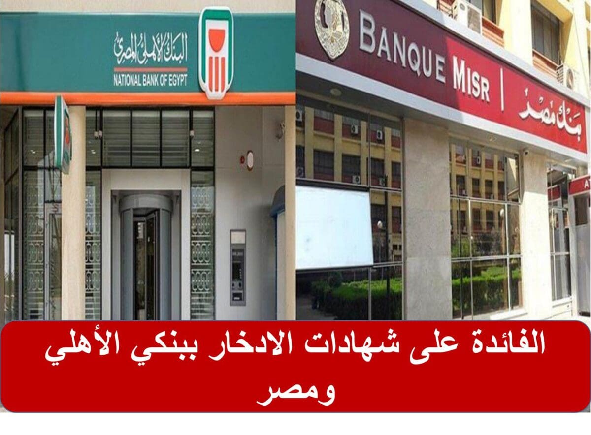 Bank misr. National Bank of Egypt. NBE банк. The United Bank Egypt. National Bank of Egypt Card.
