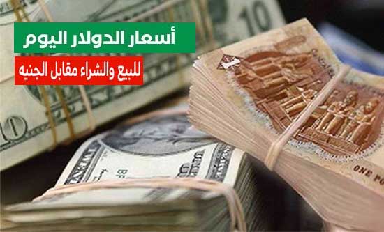 سعر الدولار اليوم في البنوك المصرية أمام الجنية المصري