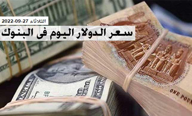 استقرار سعر الدولار في البنوك العاملة بالأسواق المصرية