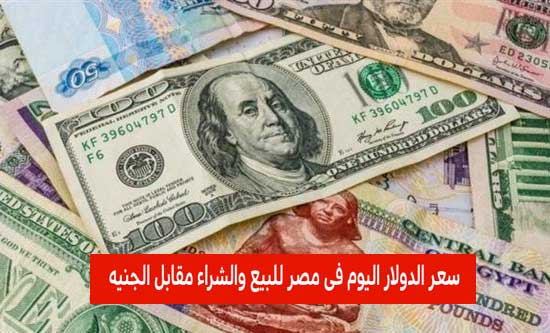 سعر الدولار اليوم في مصر للبيع والشراء مقابل الجنيه