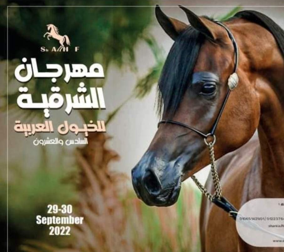 مهرجان الشرقية للخيول العربية