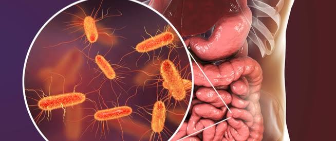 "مايو كلينك Mayo Clinic" تكشف فوائد البكتيريا النافعة في جسم الإنسان