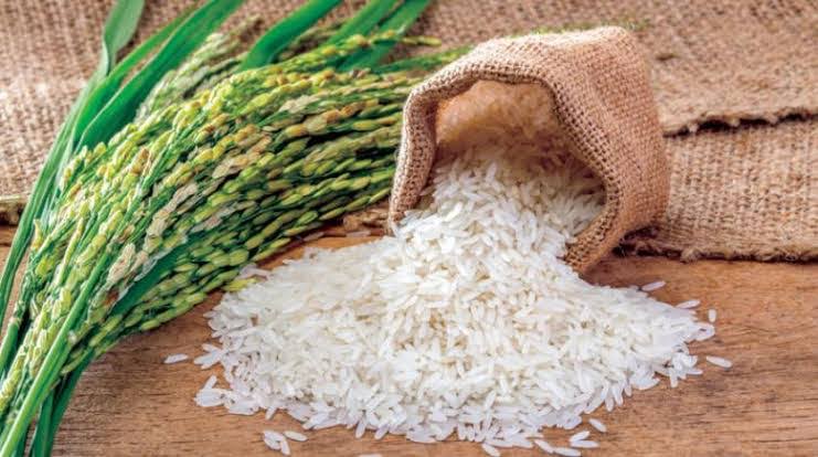 أسعار الأرز للجملة في الأسواق المصرية اليوم