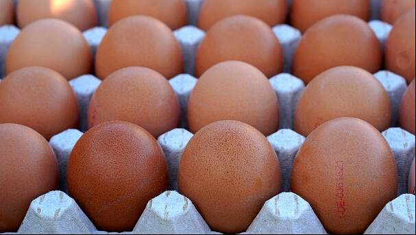 طرح كميات كبيرة من البيض بأسعار مخفضة