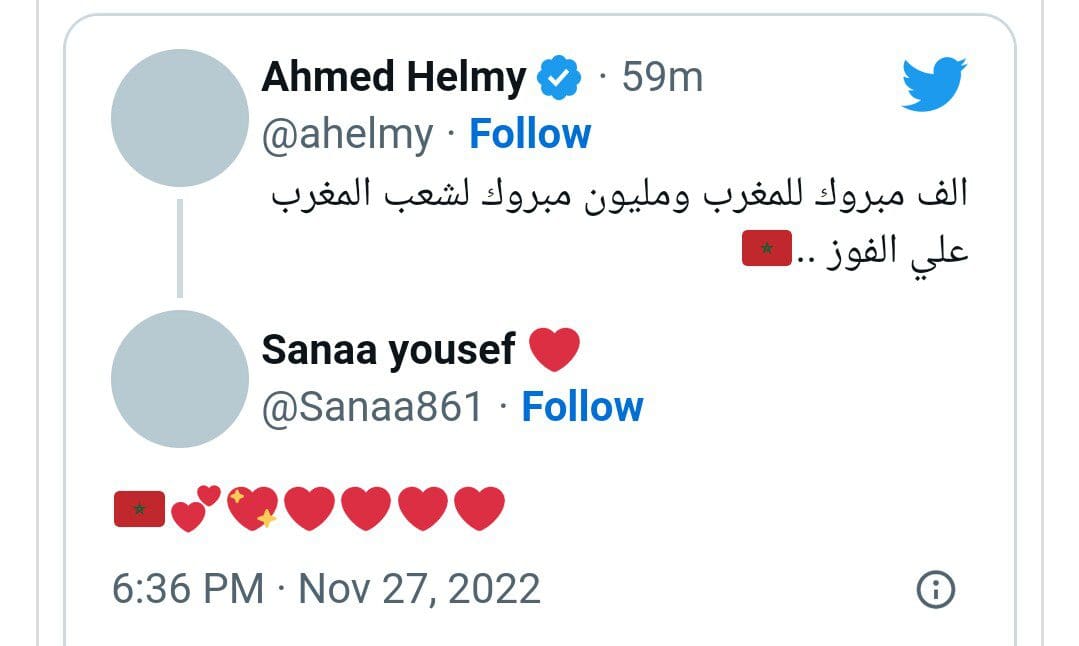 تغريدة أحمد حلمي 