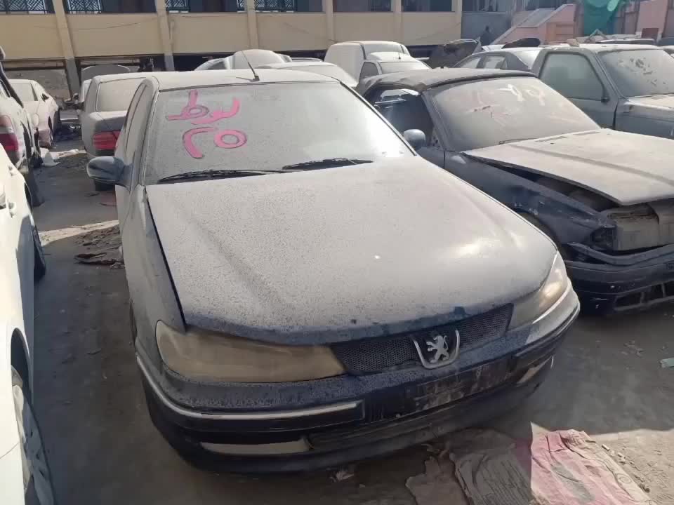 بالصور أنواع السيارات داخل مزاد سيارات جمارك القاهرة