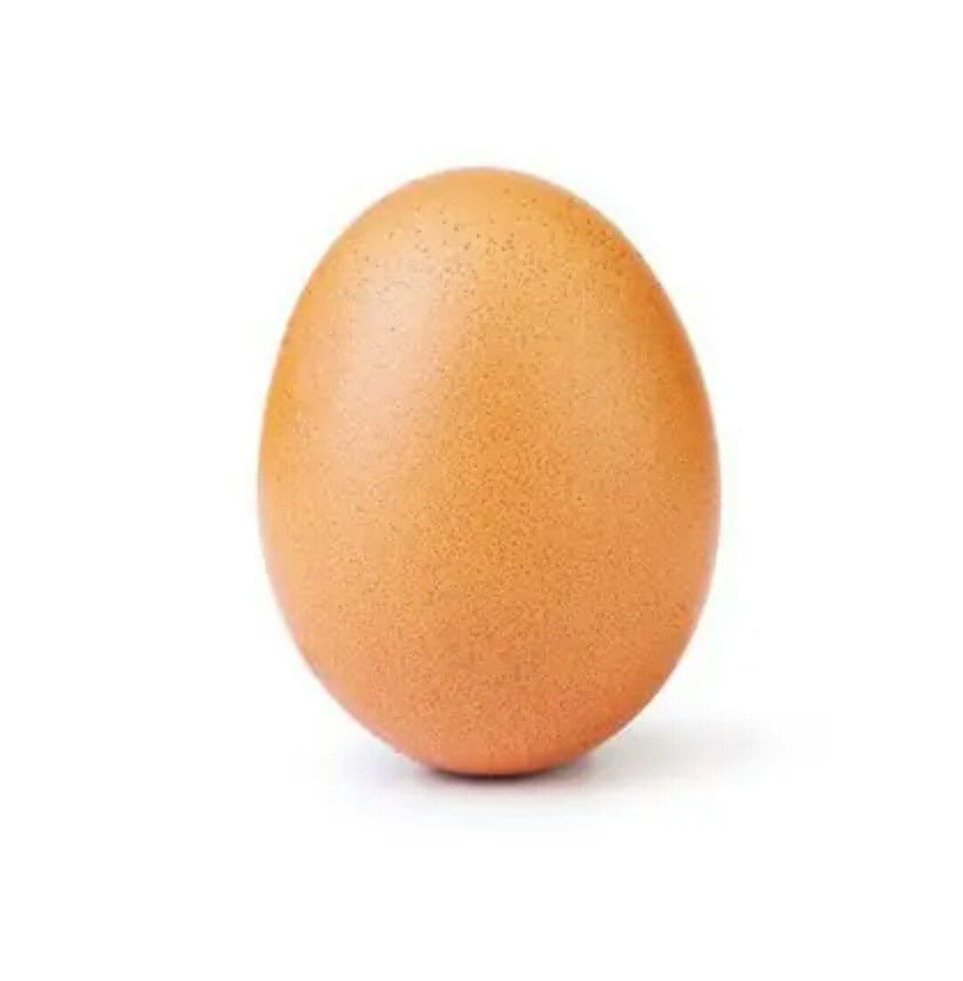صورة البيضة 