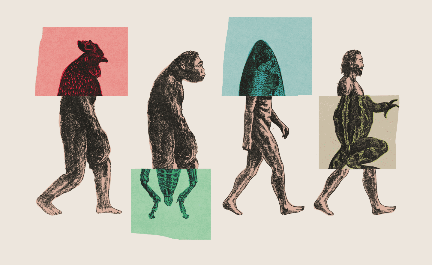 نظرية التطور حقيقة أم خيال؟